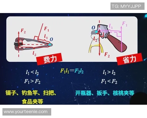 杭州篮球队的节奏解析与战术深度探讨全方位解读球队风格与表现 杭州篮球队的节奏解析与战术深度探讨全方位解读球队风格与表现