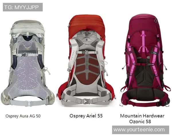 篮球装备选购指南:精选护具推荐助你提升场上表现 篮球装备选购指南:精选护具推荐助你提升场上表现