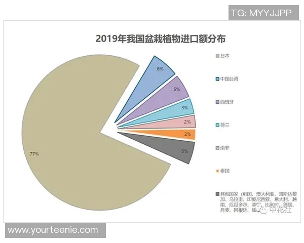 独家分析：杭州排球队的实力对比